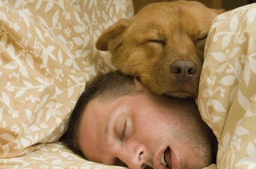 做噩夢小心患這些疾病！