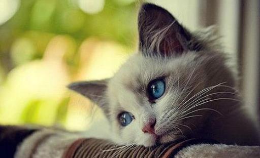 身體疾病信號一定要小心！