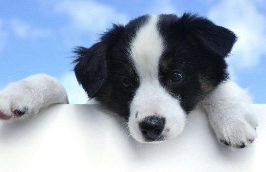 是什么導致身體維生素流失