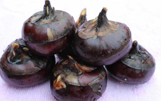 哪些食物讓你應(yīng)酬千杯不醉