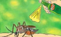 ?秋季蚊子毒？教你如何有效防蚊