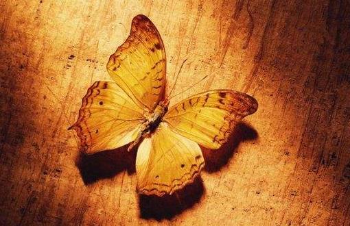 情緒低落就是抑郁癥嗎?