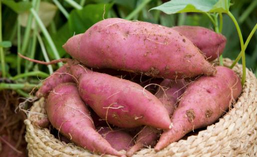 季節變更之際多吃蔬菜