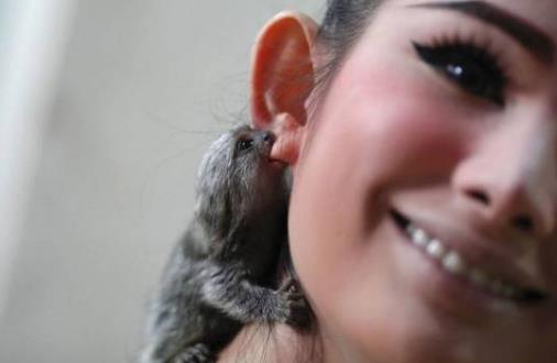 掏耳朵的誤區太害人！