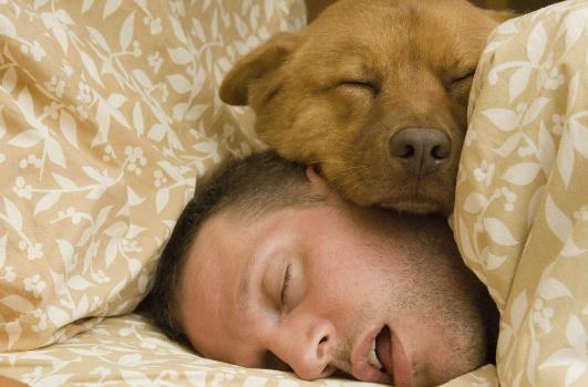 這樣睡讓你加速衰老！