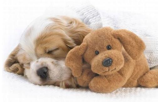 高血脂會帶來哪些危害