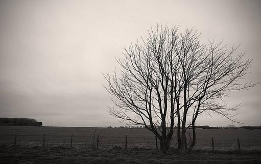 這些急救措施存在隱患！