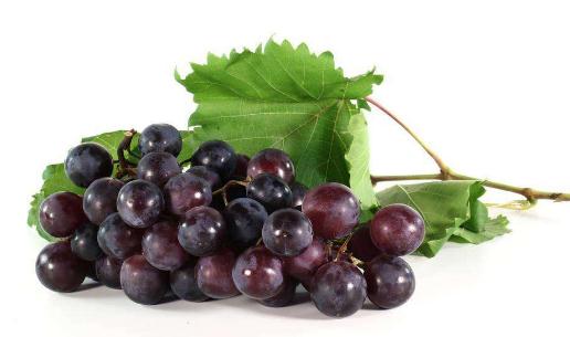 男士養生 保持私處健康15常識