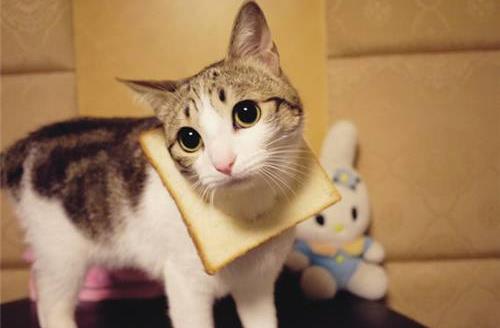 性格太好強容易患高血壓?