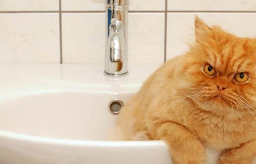 強迫性神經癥有哪些癥狀