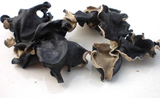 盤點冬季最營養的廉價滋補品