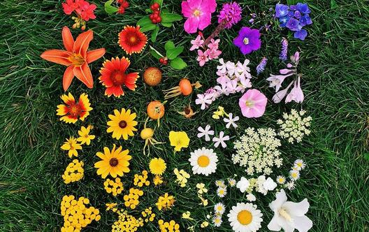 強(qiáng)迫癥的表現(xiàn)都有哪些