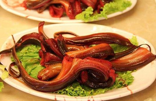 黃鱔什么季節吃最好 黃鱔魚的功效與作用 黃鱔清洗