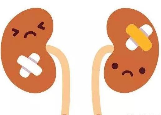 男性冬季吃什么好 男性冬季如何補腎 冬季補腎食譜