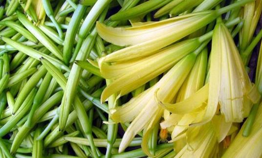 十種沒(méi)煮熟蔬菜比砒霜毒 要采用下列健康吃法