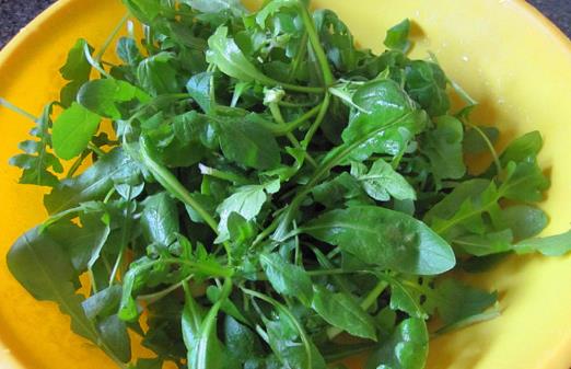 十種沒(méi)煮熟蔬菜比砒霜毒 要采用下列健康吃法