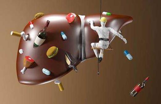 冬季養肝護肝進補食物 日常養肝食譜及補肝飲食口訣