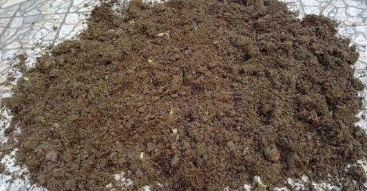 養花方法技巧大全 家庭養花的水肥光土四大要點總結