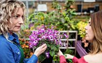 細(xì)數(shù)家庭花卉生長期和休眠期修剪最佳時間及方法