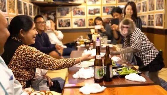 日本最火爆的餐廳之一 猴子當(dāng)服務(wù)生，報(bào)酬只要香蕉