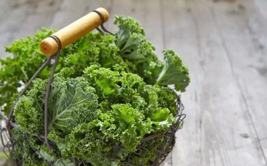 春節(jié)油膩食物太多 6種刮油清腸胃食物推薦