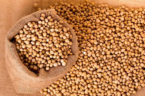 孕婦吃什么蔬菜降火 敗火食譜推薦