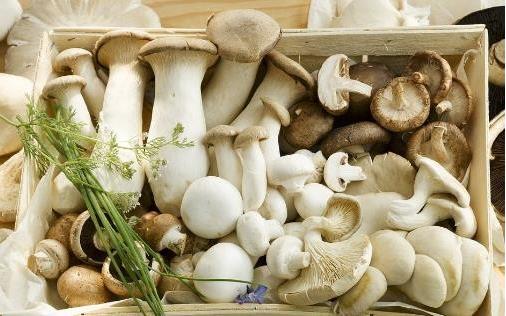 懷孕期間胎兒的大腦發(fā)育 最需要這5種營(yíng)養(yǎng)