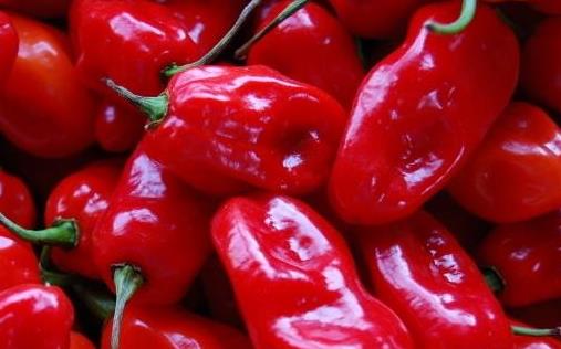 孕婦不能吃的調味料 醬油少吃為好