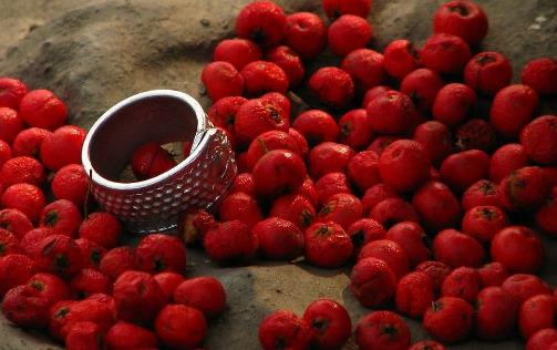 孕婦水果推薦 3款水果安胎助發育