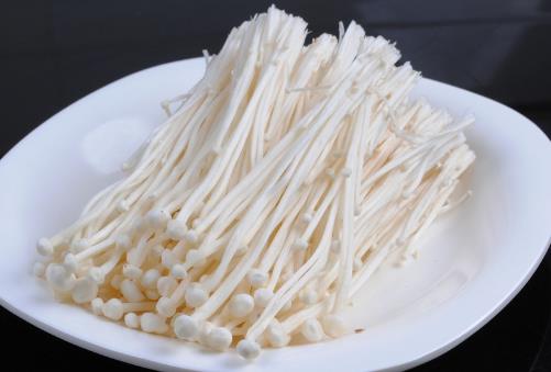 4種常見(jiàn)蘑菇的營(yíng)養(yǎng)價(jià)值 適用于孕婦補(bǔ)充營(yíng)養(yǎng)