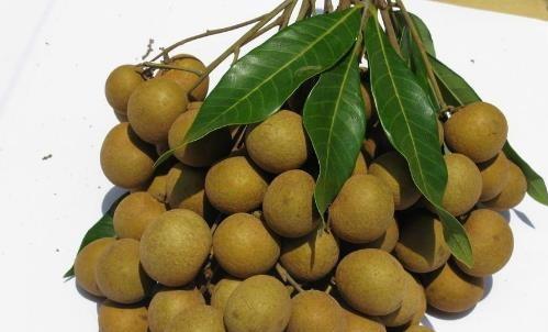 孕晚期水果魚類盤點 孕媽值得注意