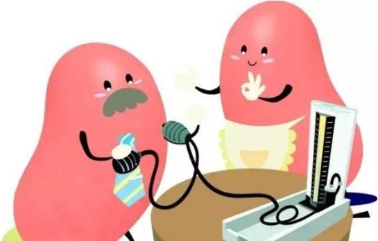 腎好才是硬道理 日常保護腎臟的方法