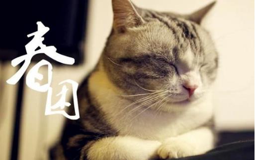 春季犯困煩惱多 教你五招遠(yuǎn)離春困問題