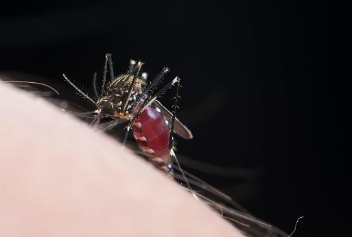 春季易引發的皮膚病 幾種方法助你輕松應對