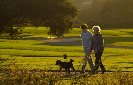 快走減肥的原理 選對減肥的方法很關鍵