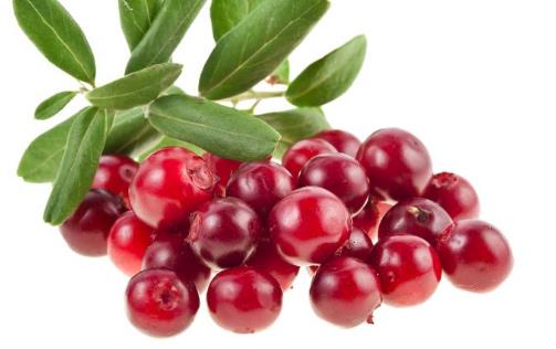 吃了這么久蔓越莓，才知道原來它還有這五大功效，美容養(yǎng)