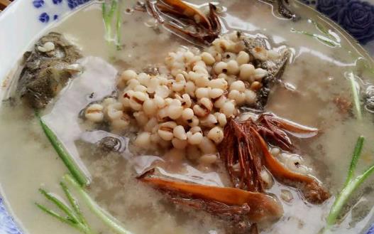 薏米吃對了除濕益氣，試試這幾個薏米的食療方