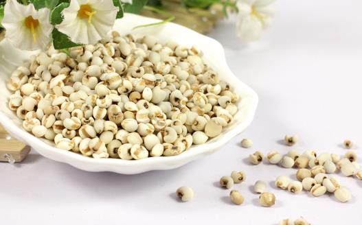 薏米吃對了除濕益氣，試試這幾個薏米的食療方