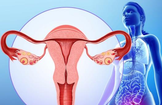 保養子宮這幾件事一定不要做 不然又老又丑