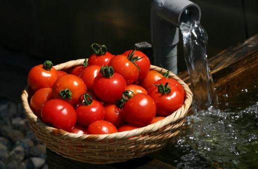 越吃越年輕的排毒蔬菜 吃出來的年輕才健康