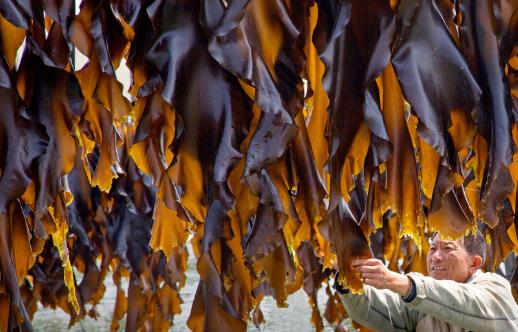 越吃越年輕的排毒蔬菜 吃出來的年輕才健康