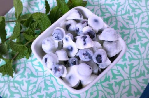 酸奶太單調不愛喝?教你做酸奶小點心,吃到停不下來