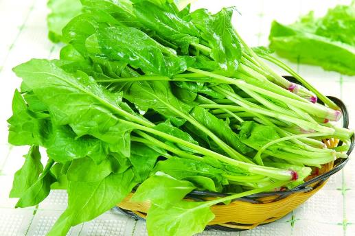 春季養(yǎng)生吃什么?這7種食物最適合春