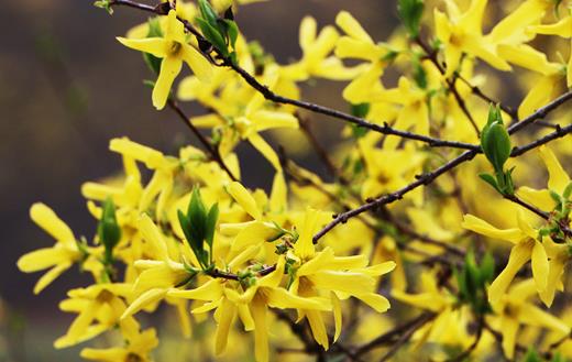 感冒了別隨便買中成藥吃 這些用藥錯誤你都犯了嗎？