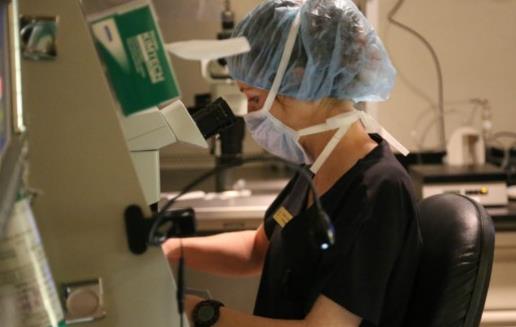 不放棄當媽媽的權利 解放女性新技術冷凍卵子