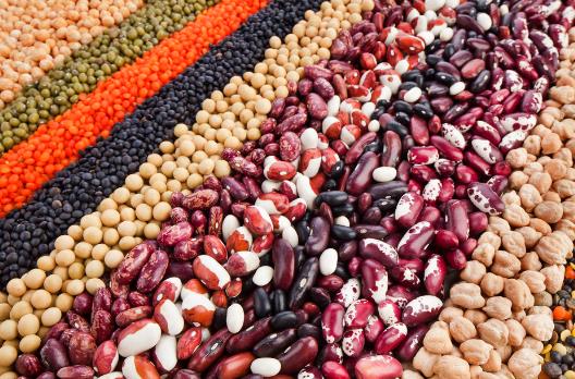 不吃太可惜了 女白領(lǐng)養(yǎng)生好食物推薦