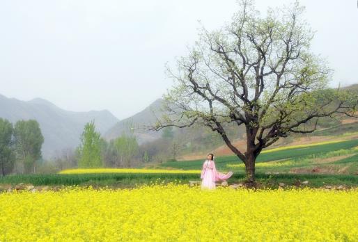 春季食療養(yǎng)生 選對(duì)食譜效果好