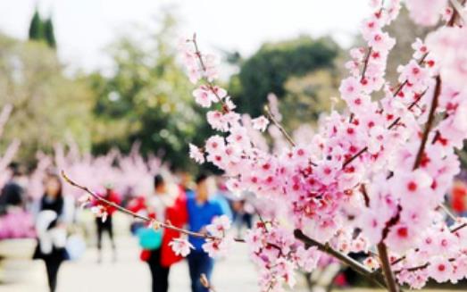 注意！未來3個月是過敏性結膜炎高發期