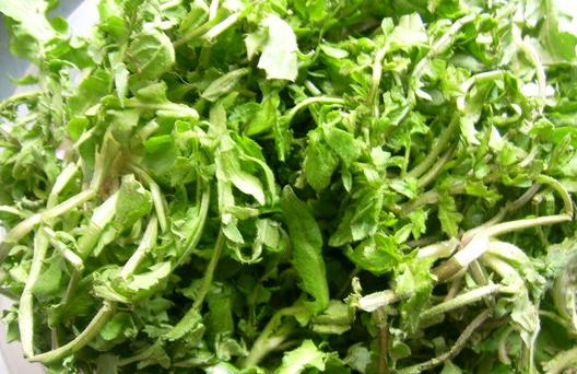 春季食療養生效果好 選對食譜更健康