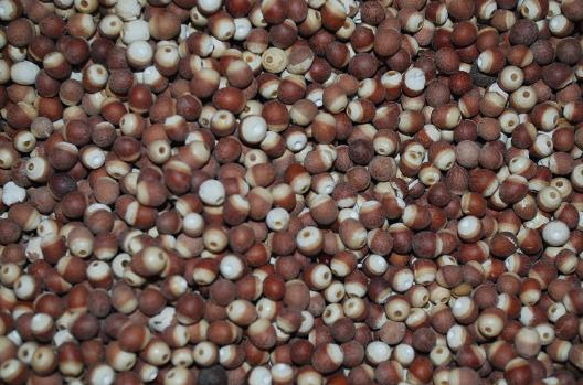 腸胃不適 養胃有三寶